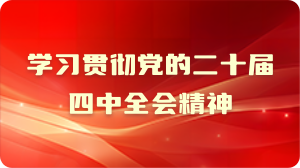 学习贯彻党的二十届四中全会精神